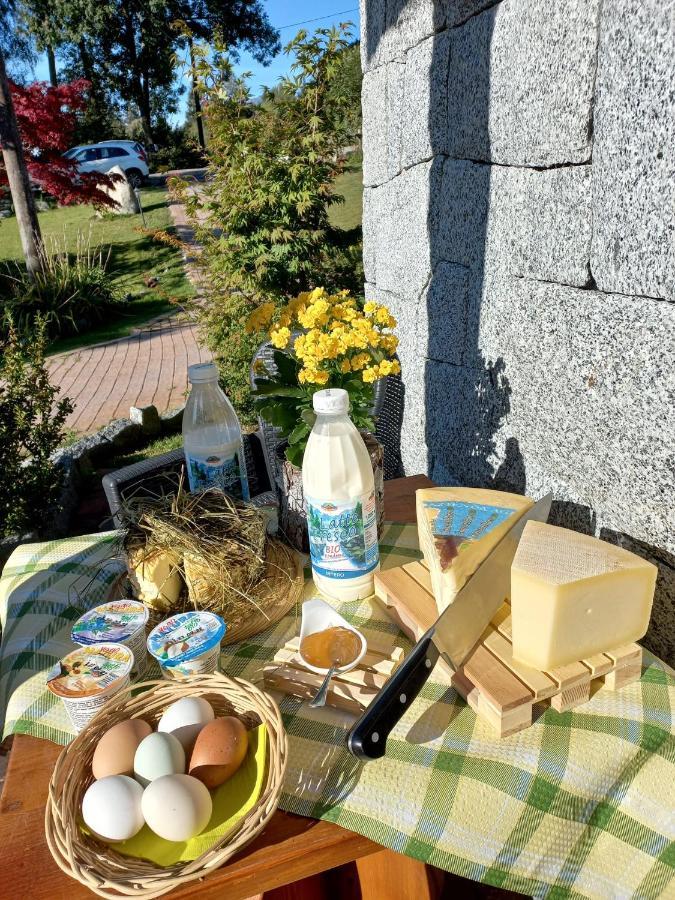 Maso Pin Bed & Breakfast Madonna Exterior foto