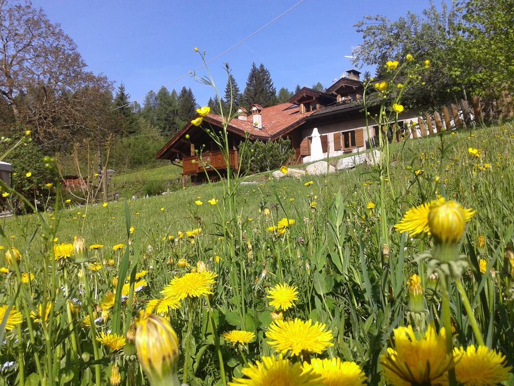 Maso Pin Bed & Breakfast Madonna Exterior foto