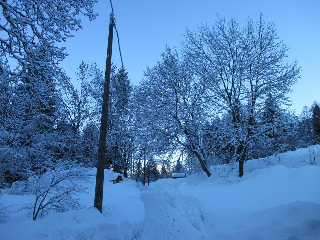Maso Pin Bed & Breakfast Madonna Exterior foto